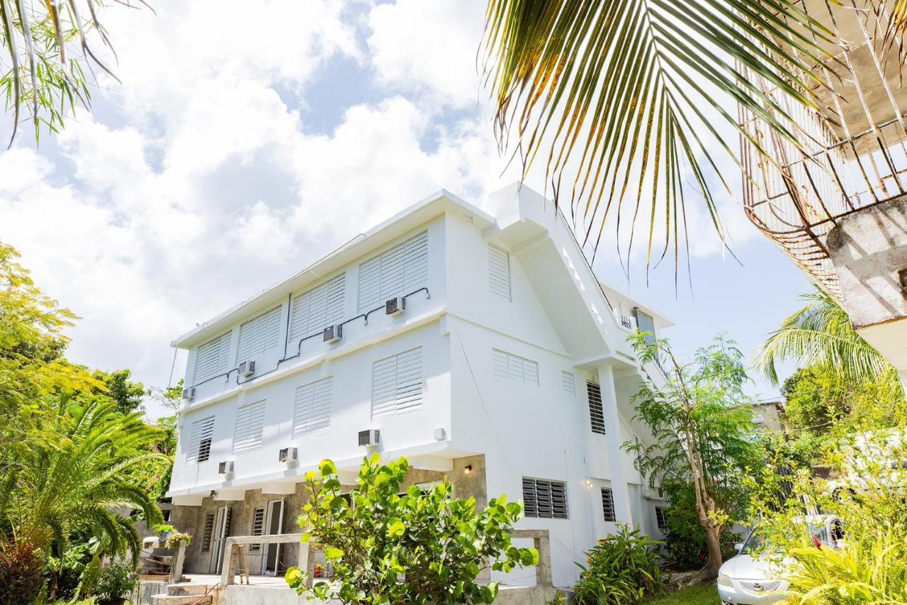Vieques Tropical Guest House Eksteriør bilde