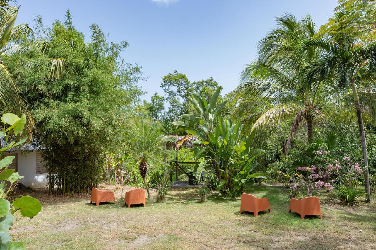 Vieques Tropical Guest House Eksteriør bilde